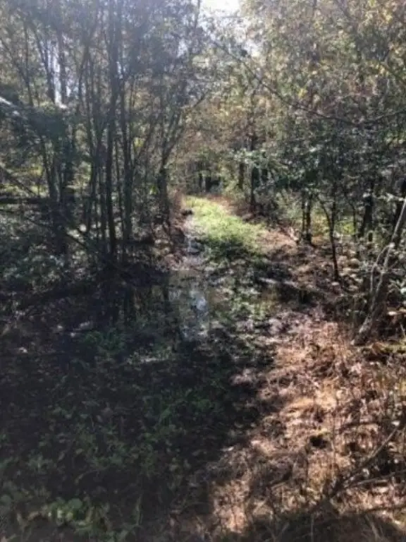 Picture 13