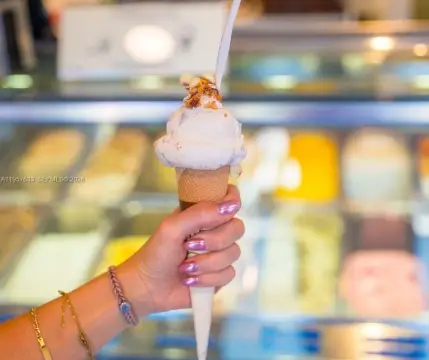 Artisan Italian Gelato Business