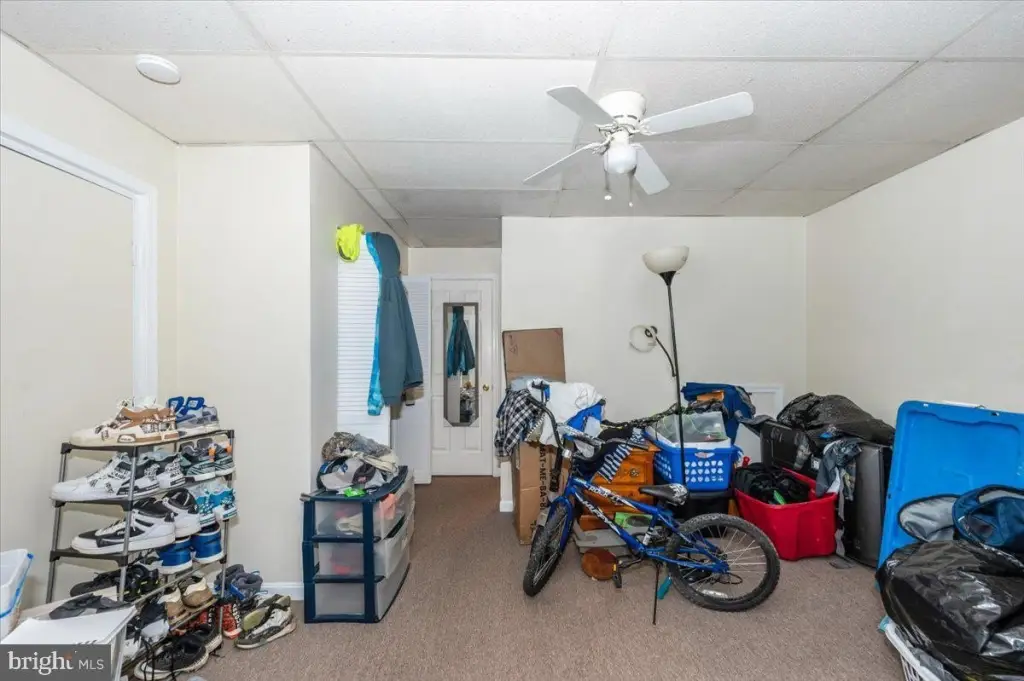 Picture 43