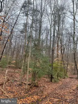Residential Land in Central Calvert