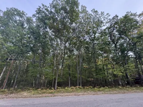 Buildable Lot Near Higgins Lake