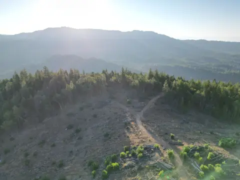 471 Acres of Forested Land