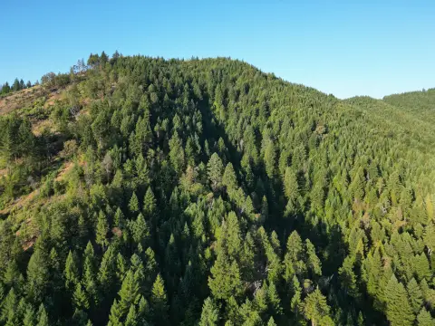Forested Land Near Medford Airport