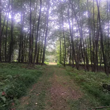 Recreational Land in Centre County