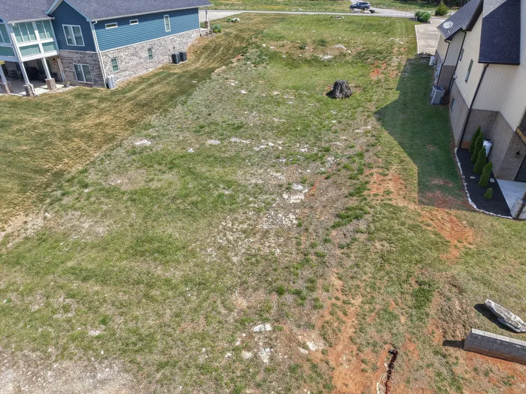 Picture 15