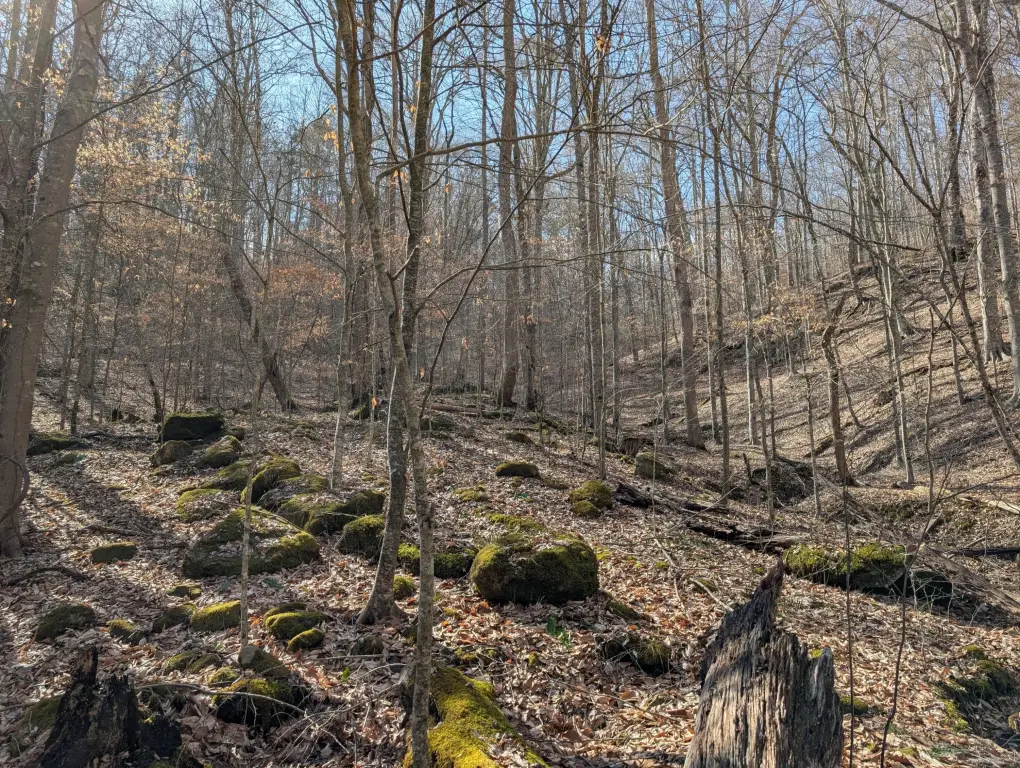 Picture 12