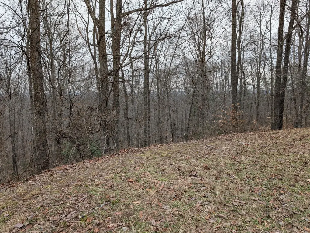 Picture 3
