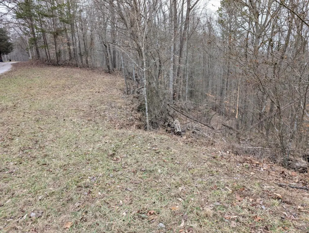Picture 5