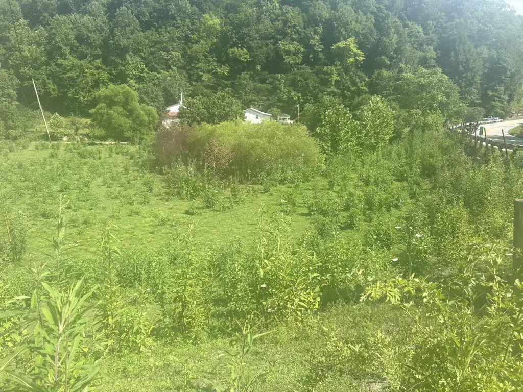 Picture 2