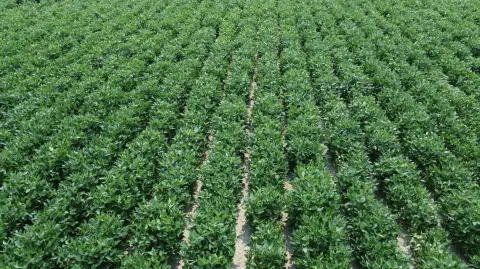 Highway Frontage Farmland For Sale