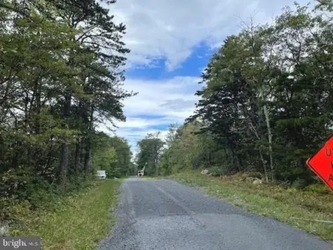 Undeveloped Lot in Shawneeland