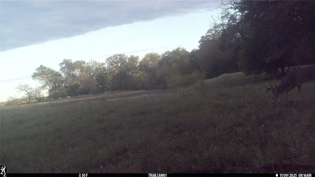 Picture 14