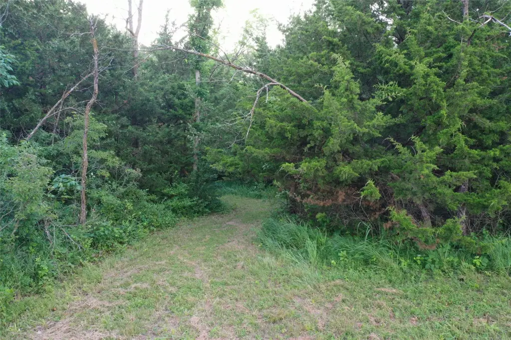 Picture 8