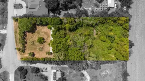 Alvarado Land with Mature Trees