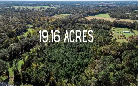 Expansive Land Tract in Alachua