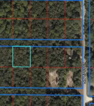 Wooded Lot in Chiefland, FL