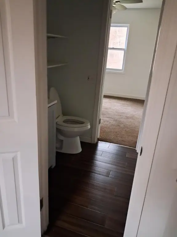 Picture 16