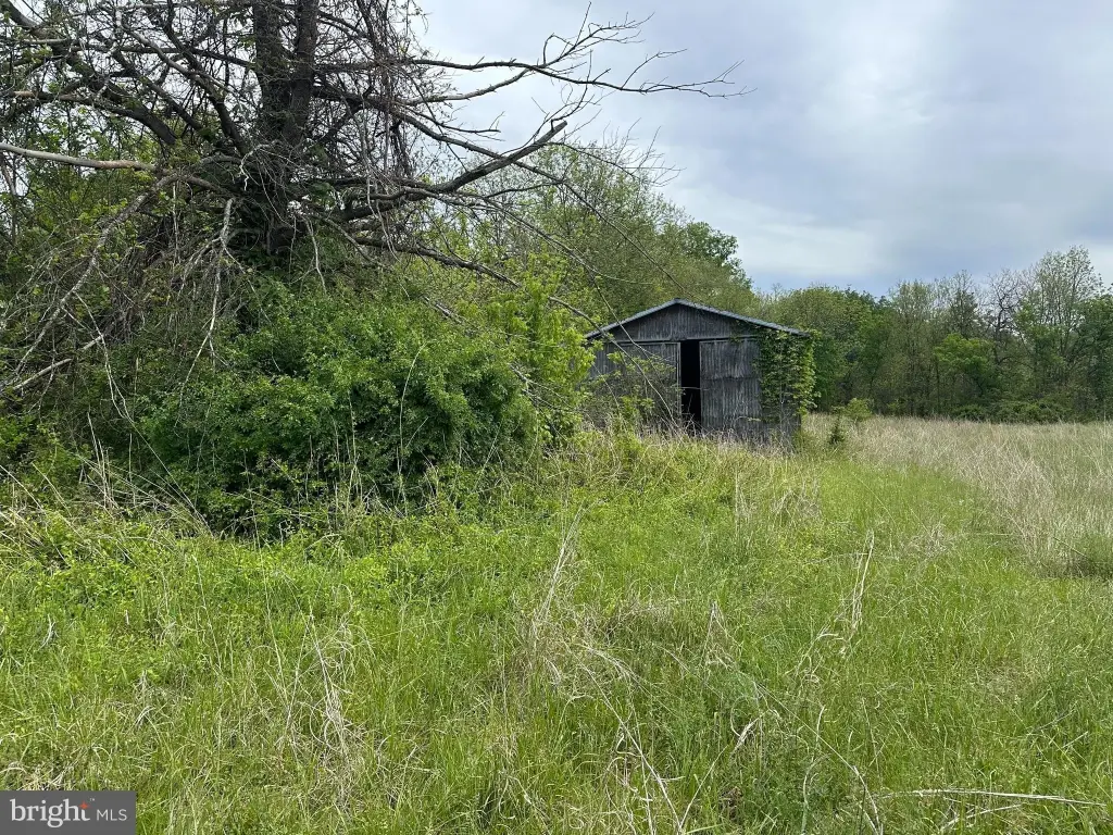 Picture 2