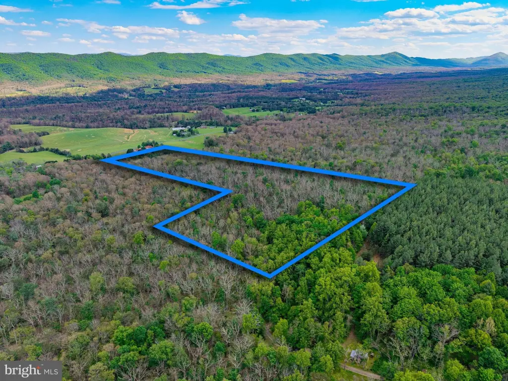 Picture 36