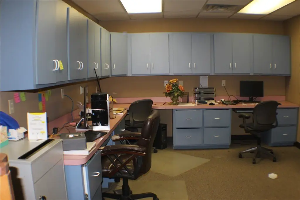 Picture 5