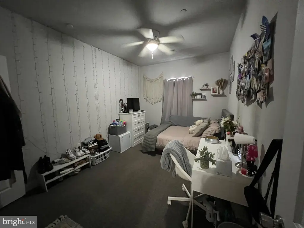 Picture 8