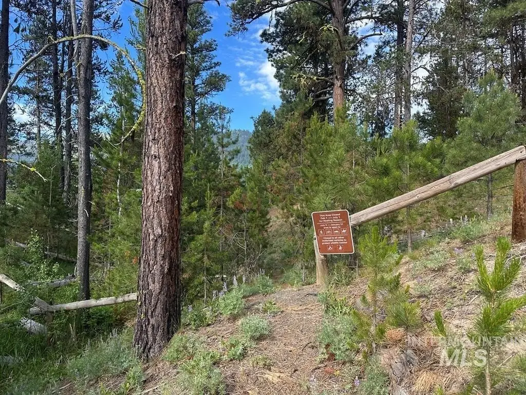 Picture 23