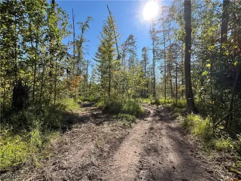 14 Acres Recreation/Hunting Land