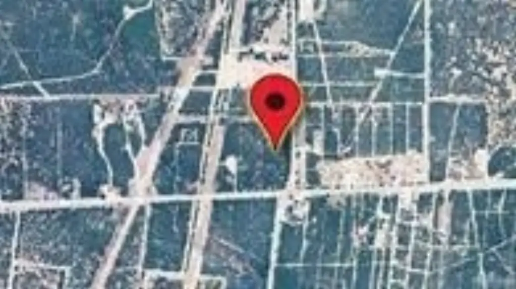 Picture 5