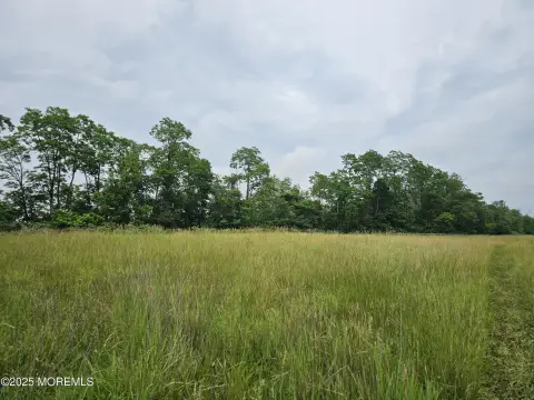 76 Acres of Scenic Farmland
