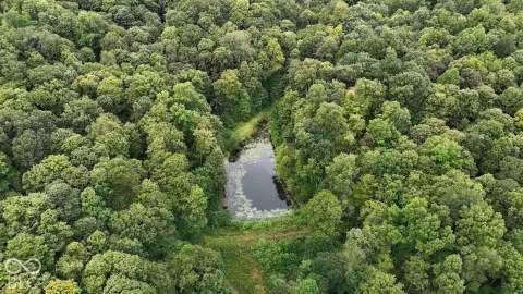 Hunting Land