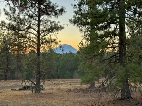 Stunning 20-Acre Mountain View Land