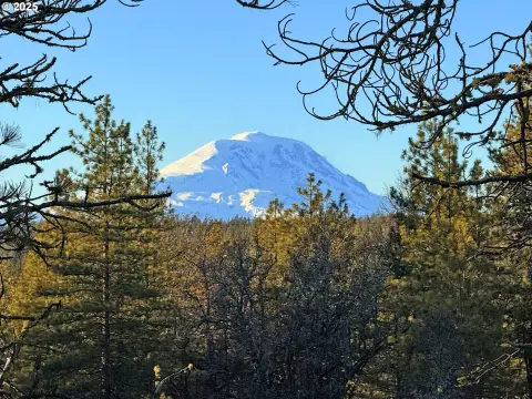 Stunning 20-Acre Mountain View Land