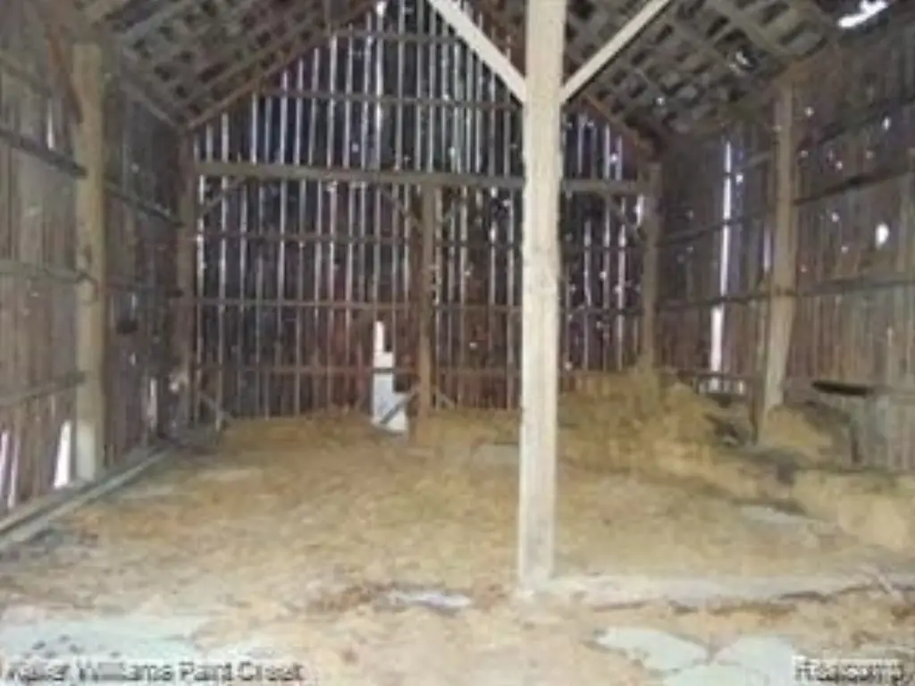 Picture 14