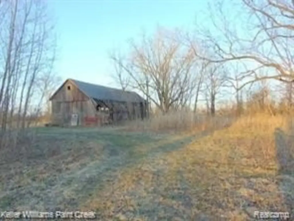 Picture 13