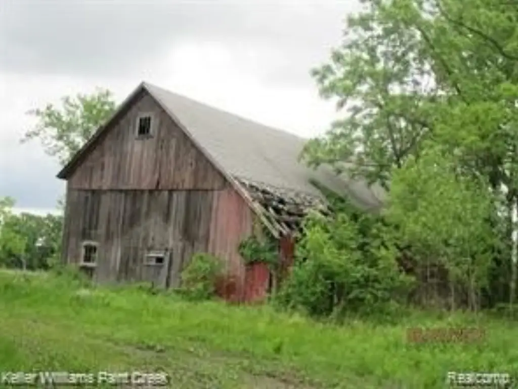 Picture 8