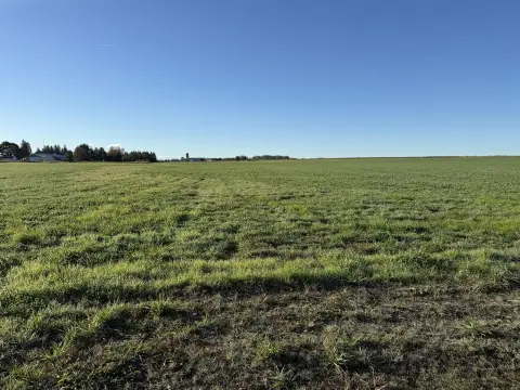 30 Acres in Alpena, MI