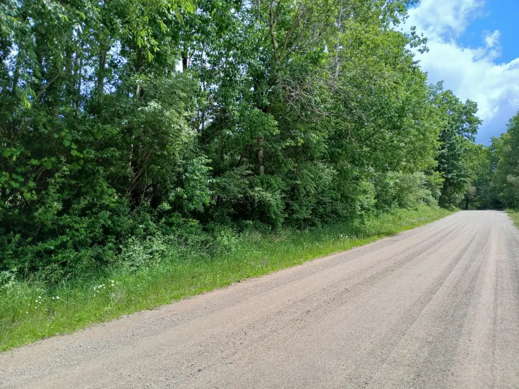 Picture 10