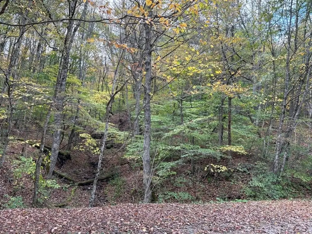 Picture 2