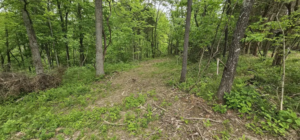 Picture 9