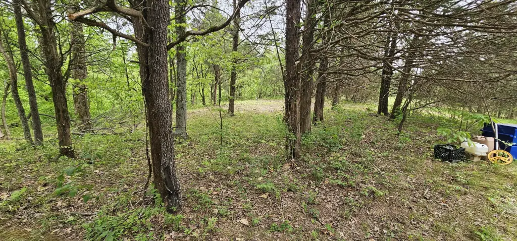 Picture 14