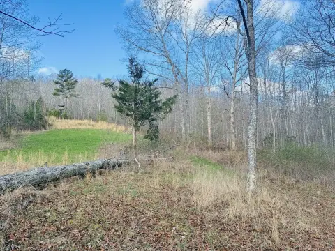 Recreational Land Near Valley Head