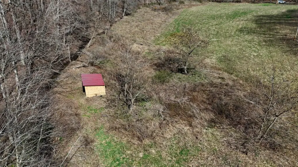 Picture 12