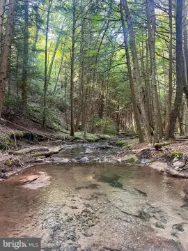 829 Acres of Serene Paradise