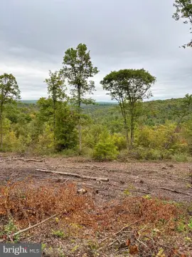 Serene Clinton County Land Parcel