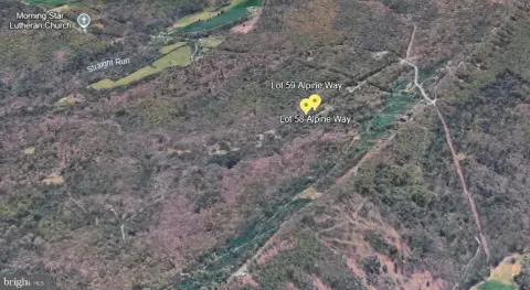 Adjoining Wooded Residential Lots