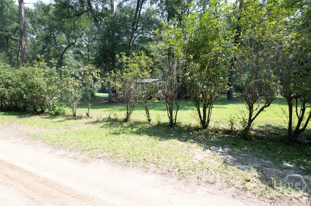 Picture 9