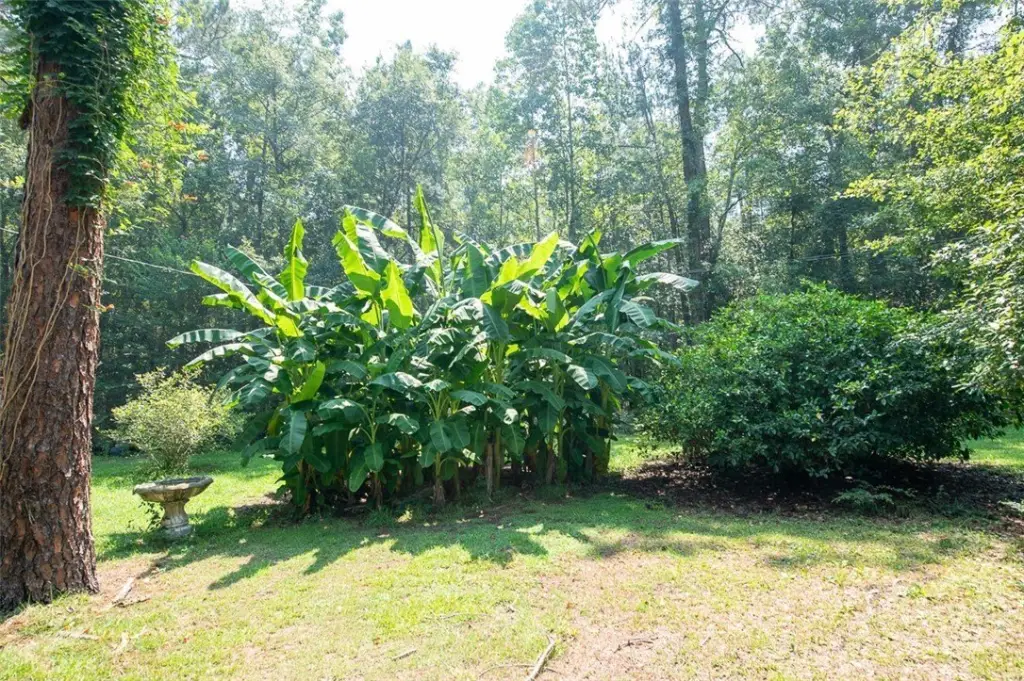 Picture 19