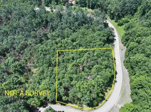Harbor Springs Wooded Lot Opportunity