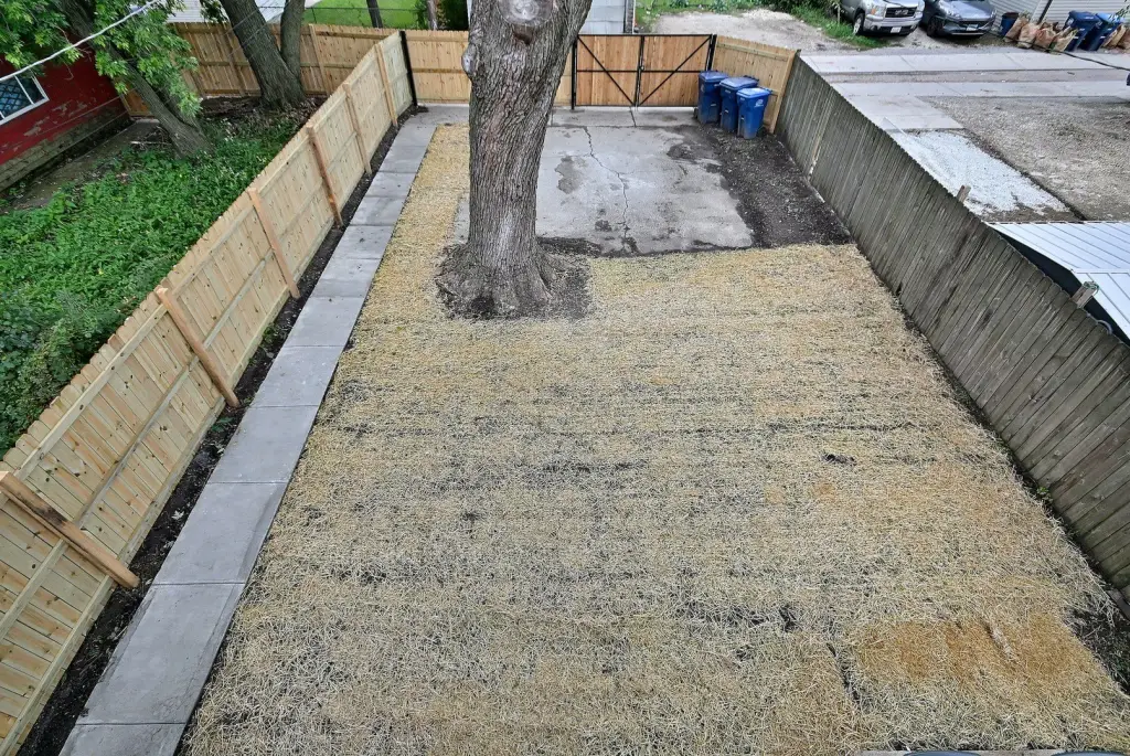 Picture 19