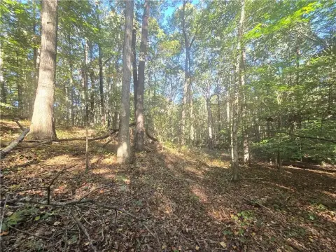 Jefferson, GA: 5 Acre Homesite